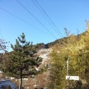 견불동산장 이미지