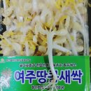 참존농장 | [참존] 희부탄 아가콜라겐 X5 워터풀크림