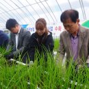 김영배농장 이미지