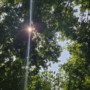 코모레비 이미지