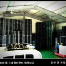 윤 파렛트