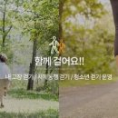 푸른나무 이미지