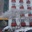 솔밭천수모텔 이미지