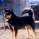 청림견사 이미지