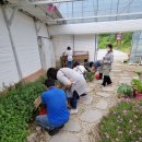 (주)힐링팜 이미지