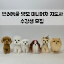 [백석]미니어쳐지도사 과정(미니어처 지도사2급) | [대구 양모펠트] 반려동물 양모 미니어처 지도사 2급 수강생 모집♥