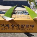 참살이농장 이미지