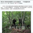 송아지민박 이미지