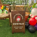 건우농장 | 아이랑 겨울 실내 체험, 김포 앙팡 딸기체험농장! 내돈내산!