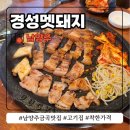 경성멧돼지