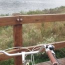 자연하모니 이미지