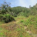 내서면 노류리 이미지