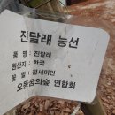 4월3일(수)오패산둘레길 이미지