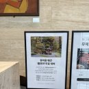 별똥오락실 | 아기랑 제천 여행🌿-포레스트 리솜 빌라형S30 숙박 후기/수유실/단락 스튜디오/아기용품 대여/몬도키친...