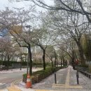 큰우물길 이미지