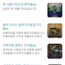휴식물디자인샵 이미지