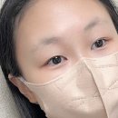 초이브로우