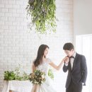스튜디오브라이트 이미지