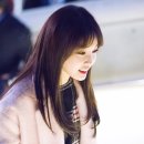 술시 이미지