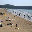 춘장대해수욕장 이미지