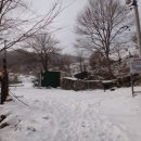 베데스다농장 이미지