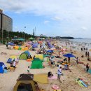 대천해수욕장 이미지