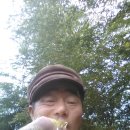 근원농원