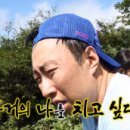 미드브로 이미지