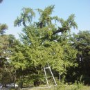 서도중학교 이미지