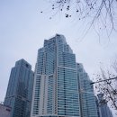 팔도비빔밥 이미지