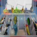 웜 정리 합니다..-거래 완료- 이미지