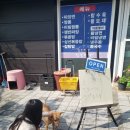 단비캣 이미지