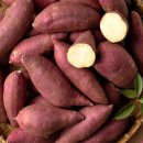 단짝스토어 이미지