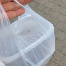 장성 한정식 밥집 추천[시우팜] 청게 간장게장이 맛있는 광주 근교 맛집 다녀온 후기!