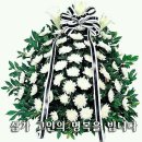 목동강서공인중개사사무소 Daum카페