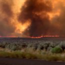 (주)라센 이미지