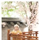 서당개 스튜디오 | 대구 수성구 아기 돌사진 스튜디오 ‘이모션스튜디오’ 후기 ✨