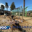 강림초등학교 이미지