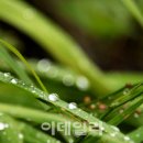 초가집황토펜션 이미지