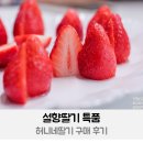 설향딸기 특품 허니네딸기 구매 후기