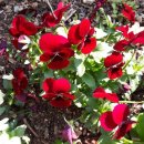 만복경로당 이미지