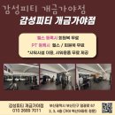 감성 피티 이미지