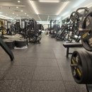 파랑새휘트니스 이미지