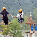 송이밸리자연휴양림 이미지