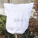 엠에스농장 이미지