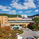 태백지역자활센터 이미지