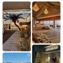 한강패션 | 한강뷰 예쁜 파주 대형카페 아레볼 가족 모임 내돈내산 후기