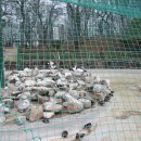 달성공원 이미지