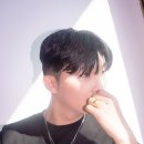 PIT A PAT 이미지