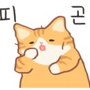 더런드리셀프빨래방광주 - 북구 동운로201번길 13 | 더런드리셀프빨래방광주